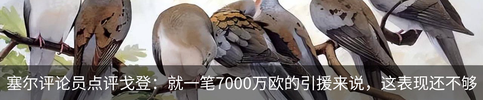 资讯动态